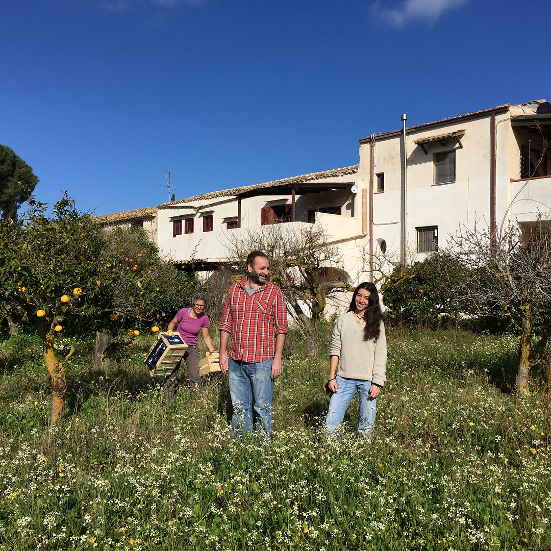 26067510_158789281320412_1010071661141032960_n