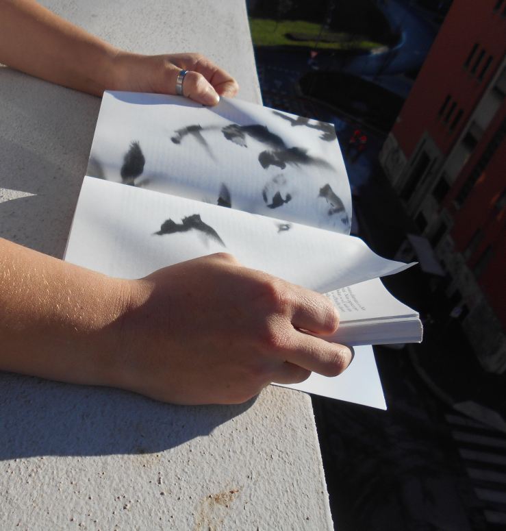 jonathan safran foer 2